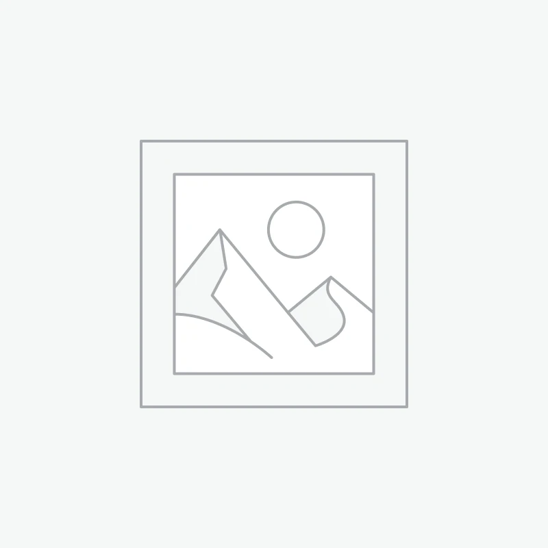 Van bi 2 ngã inox điều khiển khí nén