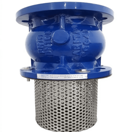 Rọ bơm gang Arita AFV-FE