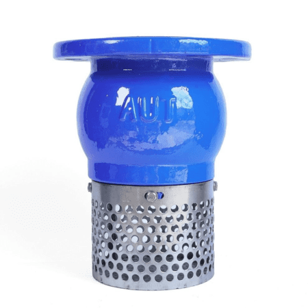 Rọ bơm gang AUT FIG04