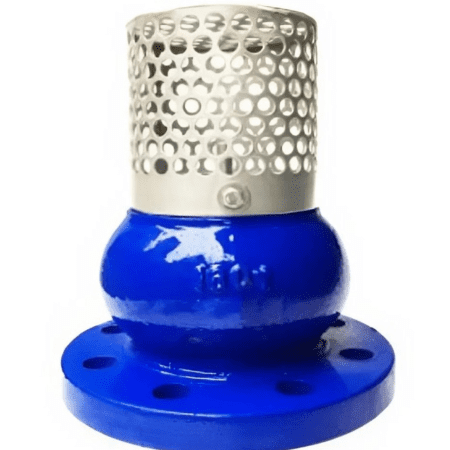 Rọ bơm gang AUTA 5100H