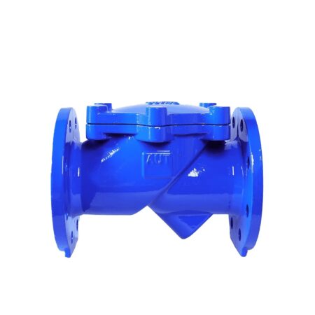 Van 1 chiều gang AUT FIG02