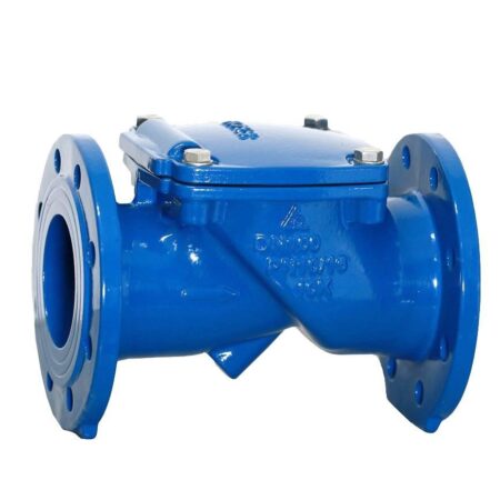 Van 1 chiều gang lá lật Shinyi RDCV