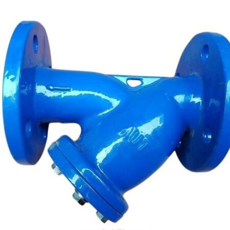 Y lọc gang AUT FIG03